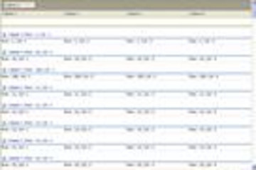 Codejock Report Control预览：